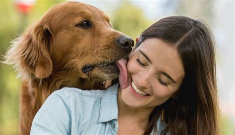 Mujeres pornos con perros. Things To Know About Mujeres pornos con perros. 